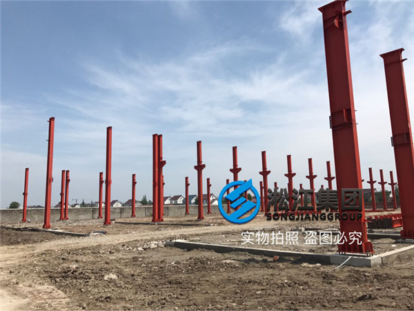 詢價DN50,DN65過常溫水的橡膠避震喉，貨期2天，武漢